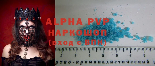 ГАЛЛЮЦИНОГЕННЫЕ ГРИБЫ Костерёво