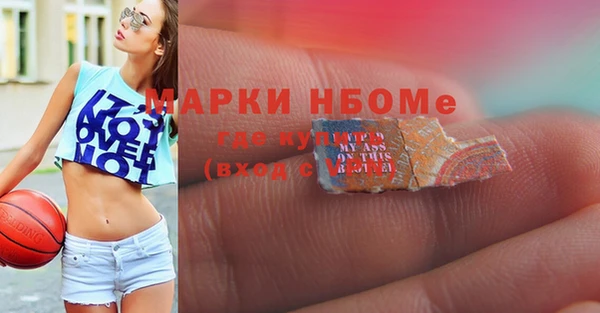 гашик Краснослободск