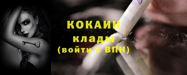 гашик Краснослободск
