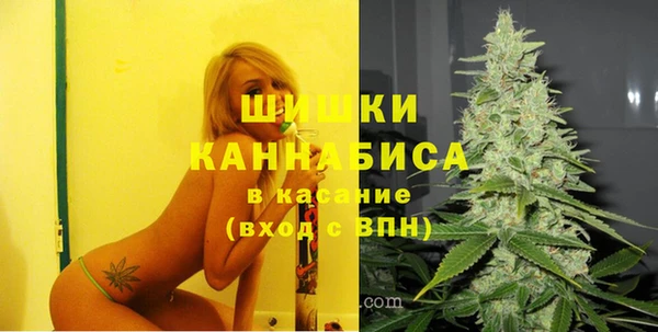 гашик Краснослободск