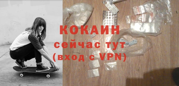 гашик Краснослободск